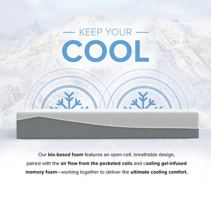 12" Ecocore Hybrid Mattress-Medium Plush